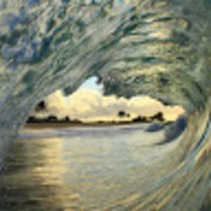 Meet your Posher, Amelia